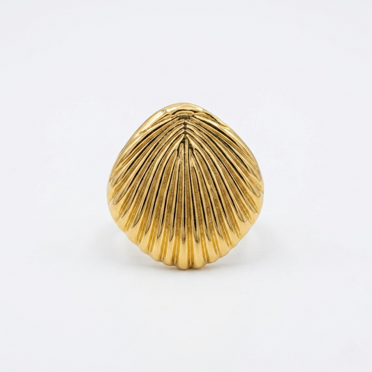 Shell Ring