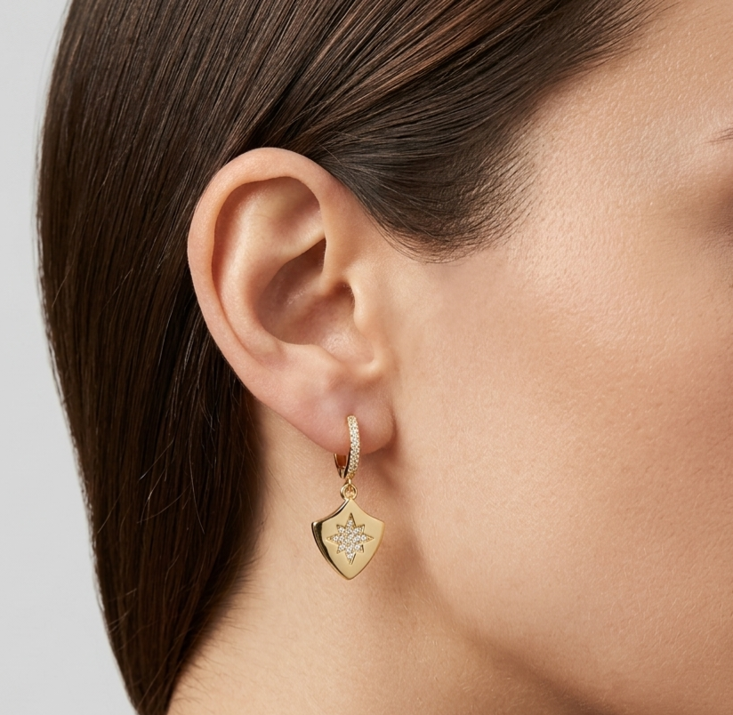 Gold Star Earrings