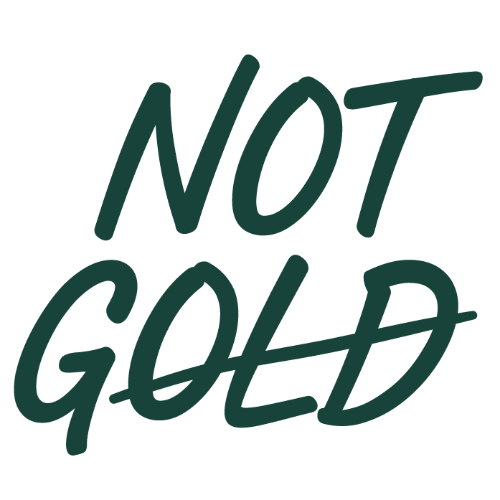 Not Gold Accessories